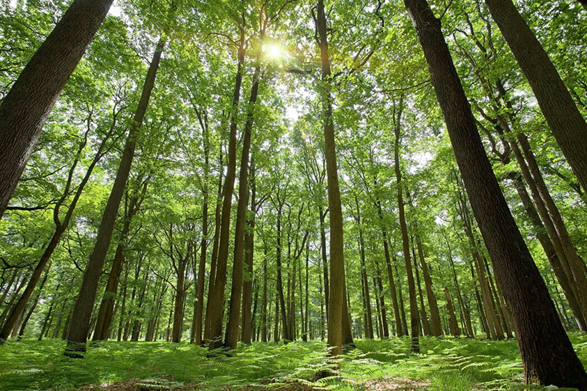 Delivering Sustainability Initiatives